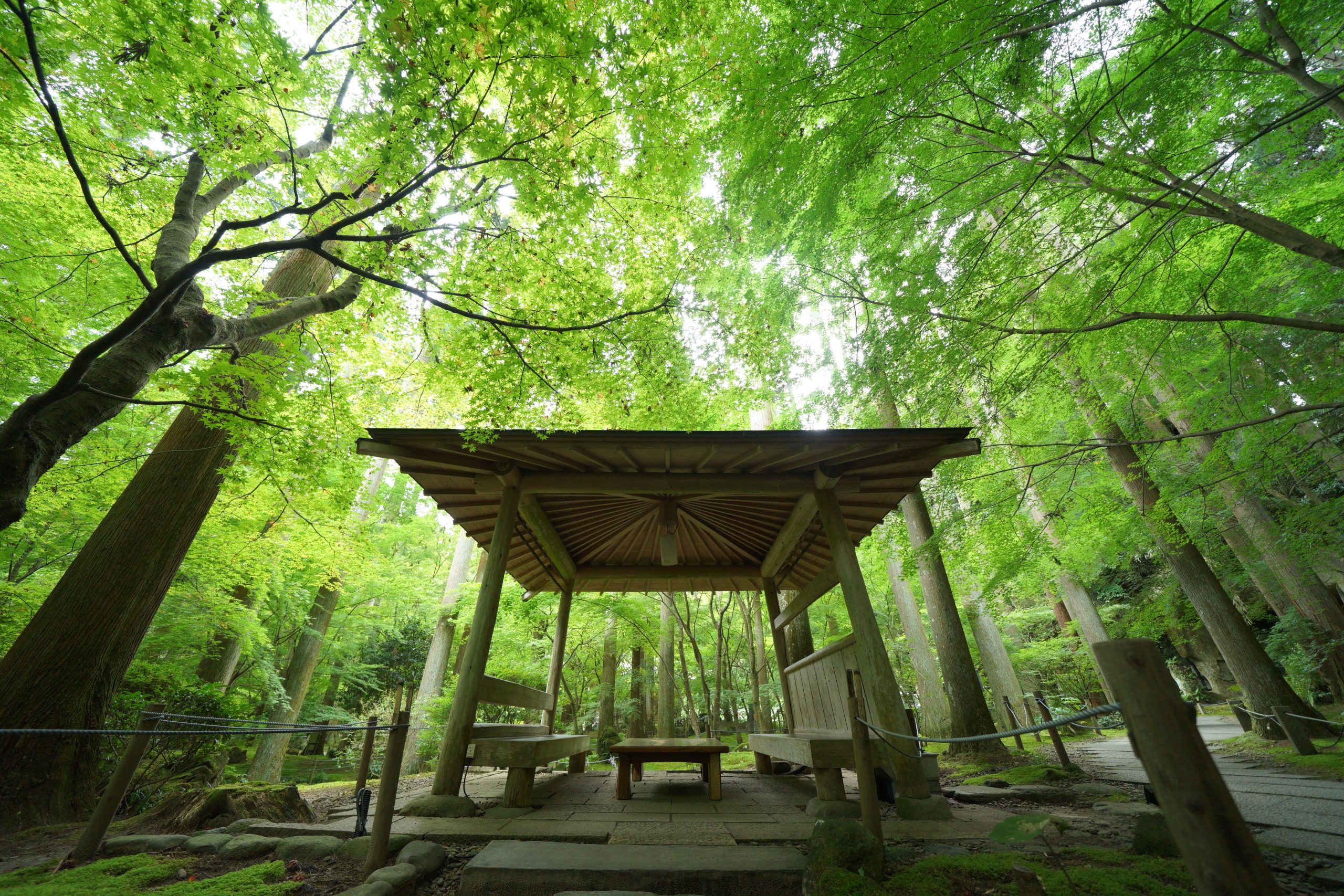 カンディハウス / CONDE HOUSE の人気の秘密を探る！家具の名産地