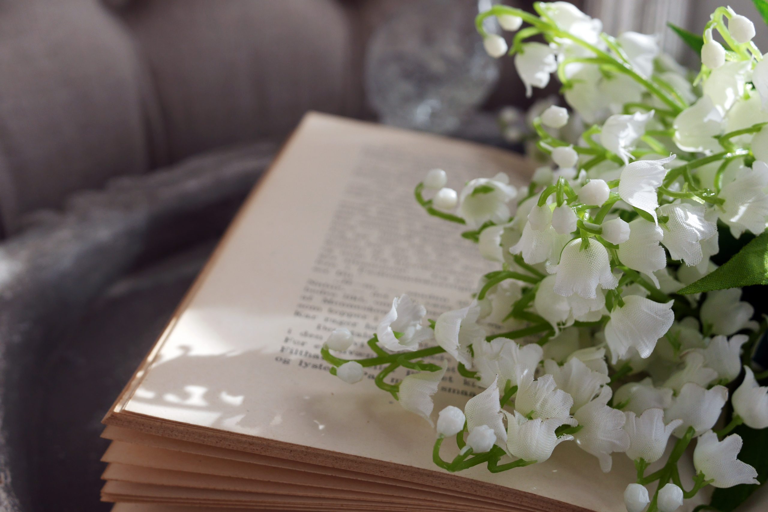 プロが教える スズランを使ったおしゃれなガーデンを実現する方法 シンボルツリーや樹木の下草に最適だが 有毒植物なので要注意 Hello Interior Note ノート